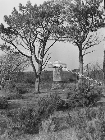 FINN'S STONE AT CLOGHANEELY